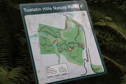 Trail map at “four corners” – trail junction of Big Fir Trail, Ponderosa Loop and Owl Path
